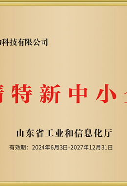 專特精新中小企業(yè)