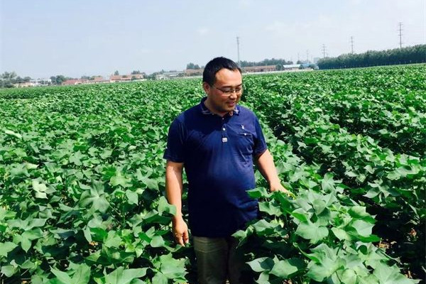 山東佰諾 山東佰諾