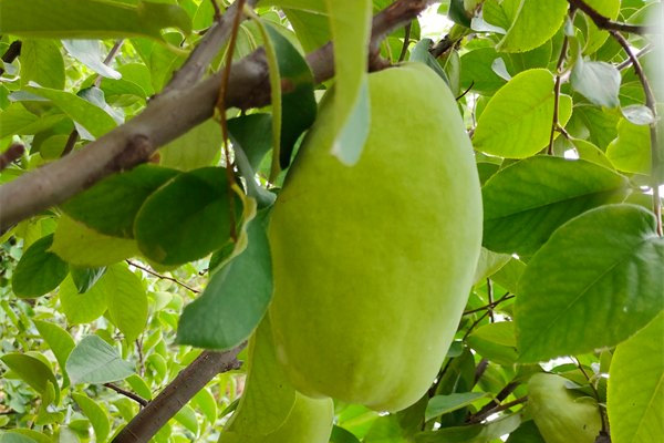 山東佰諾 山東佰諾