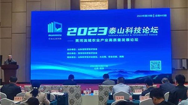 1765174227715873.jpg 1.jpg