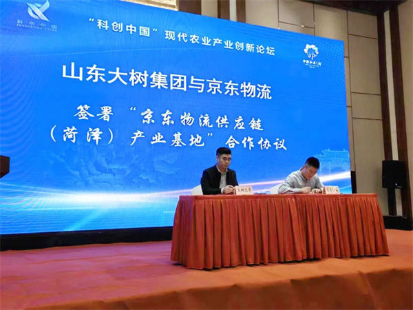 1765174235729783.jpg 2.jpg