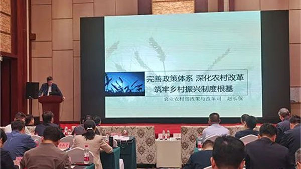 1765174270589035.jpg 5.jpg