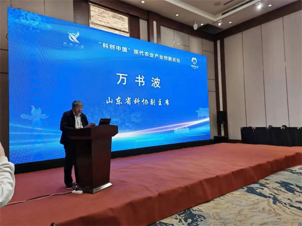 1765174276146303.jpg 6.jpg