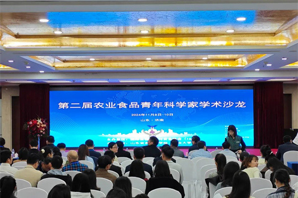 固體飲料 固體飲料