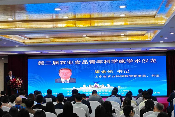 1765595421607521.jpg 3.jpg