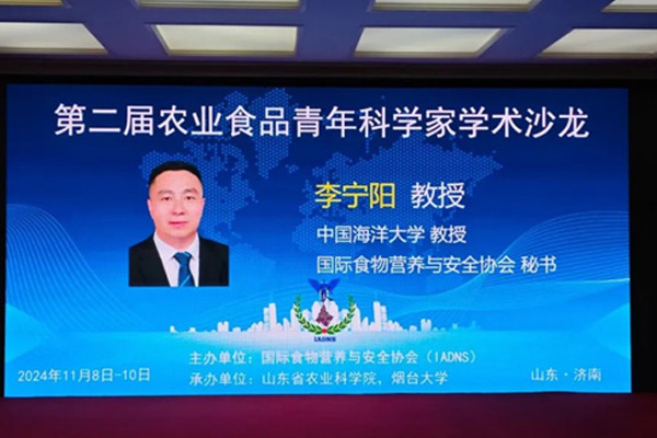 固體飲料 固體飲料